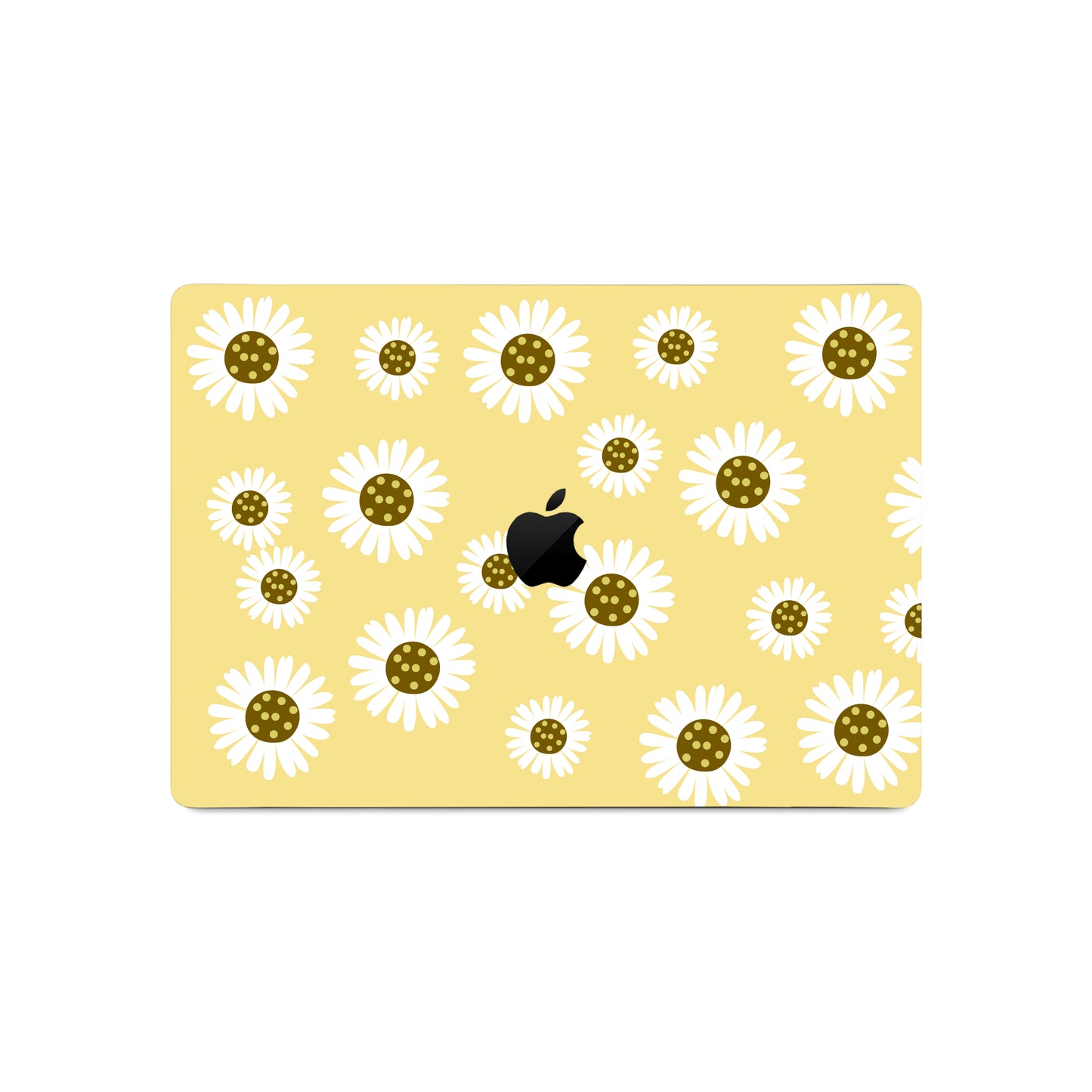 Daisy Delight 🌼✨